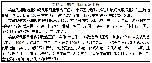 深化信息系統集成服務，賦能“十四五”服務業高質量發展